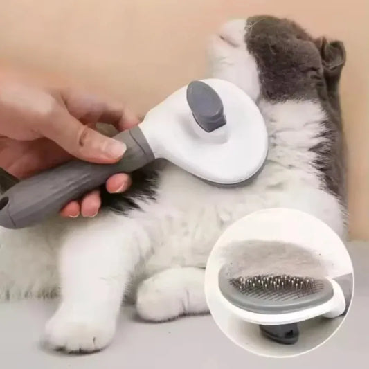 PurrGroom