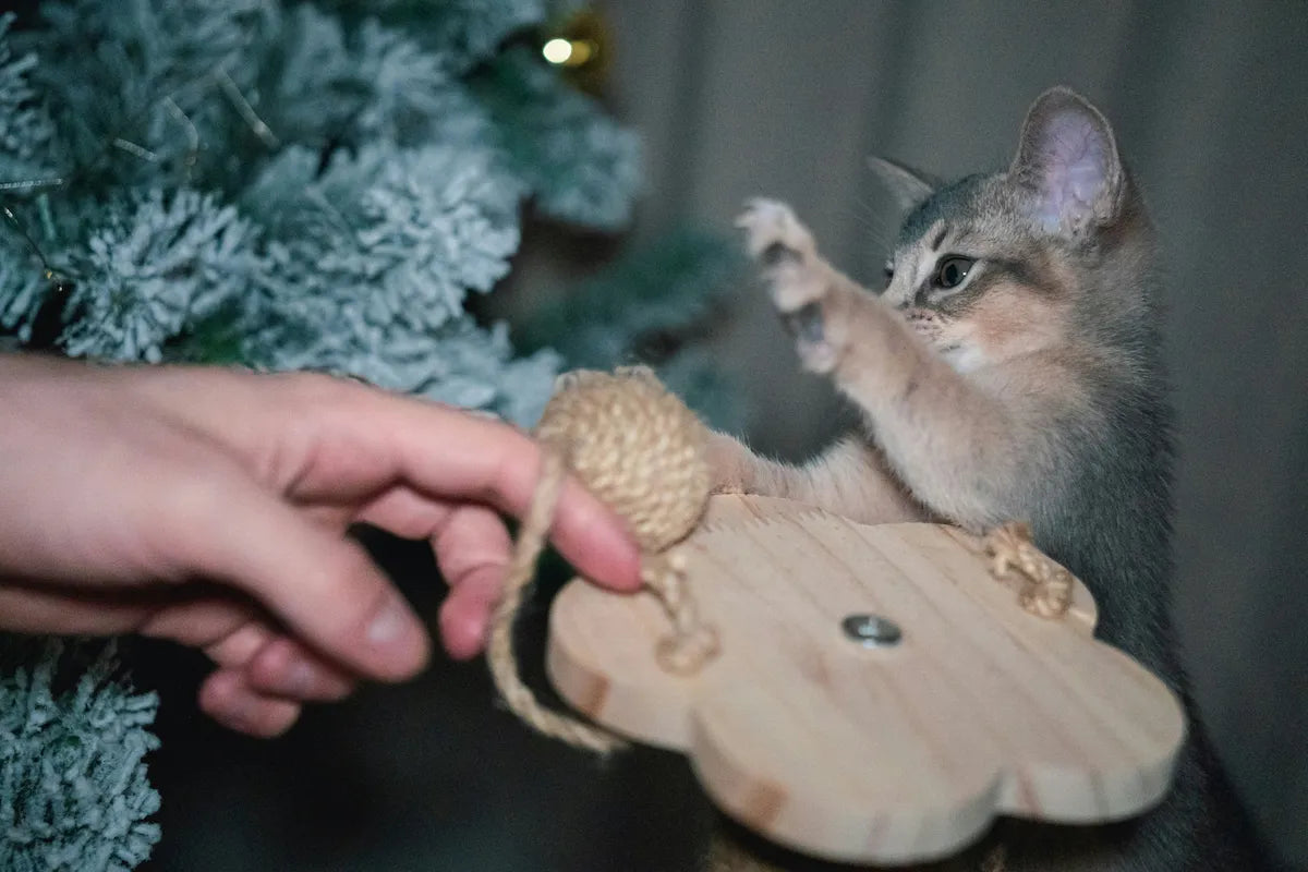 I want to hunt