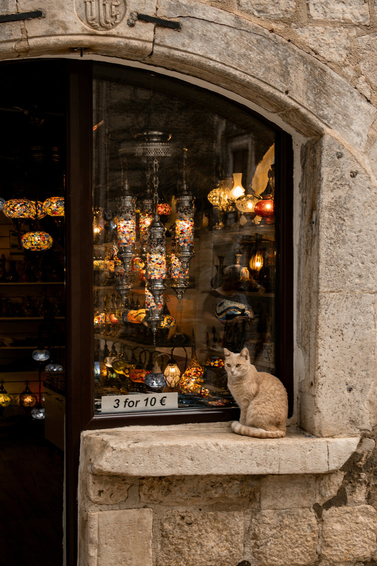 Shop