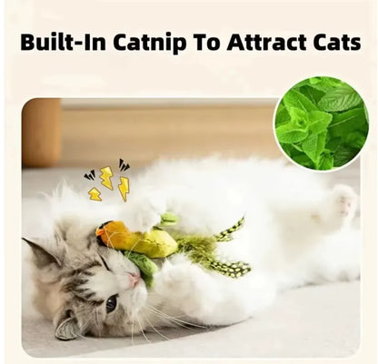 purrbird