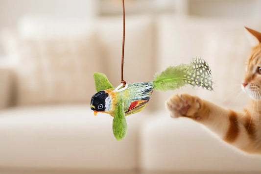 purrbird