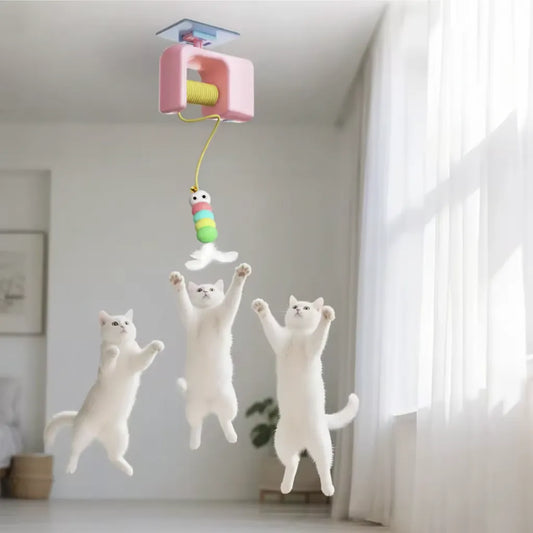 Purrmotion